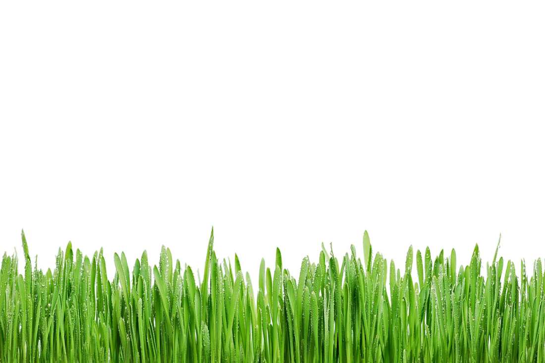 Copo De Papel Ecológico  Formato De Envelope C/ 1000 -ecopo